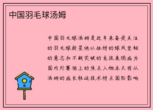 中国羽毛球汤姆