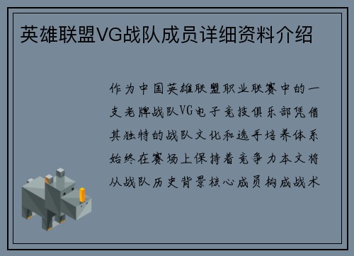 英雄联盟VG战队成员详细资料介绍